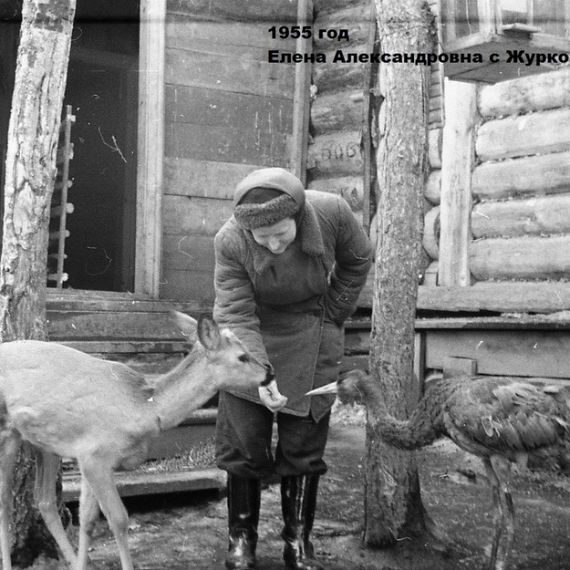 Живой уголок на «Столбах»